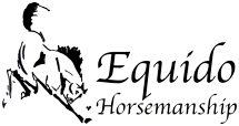 Online equine qualifications by Equido Horsemanship